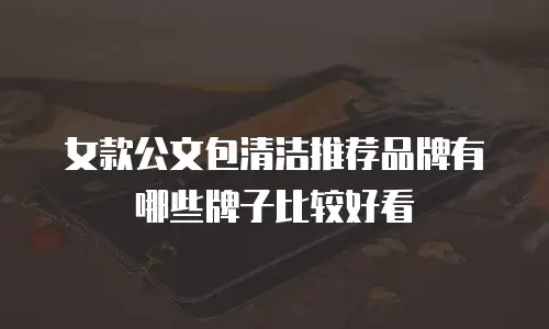 女款公文包清洁推荐品牌有哪些牌子比较好看