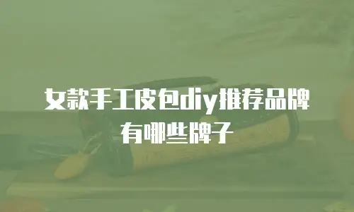 女款手工皮包diy推荐品牌有哪些牌子