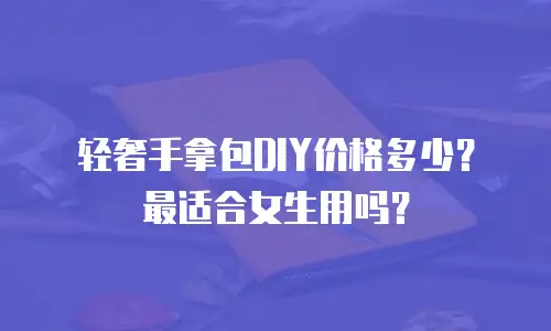 轻奢手拿包DIY价格多少？最适合女生用吗？