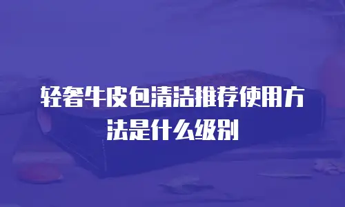 轻奢牛皮包清洁推荐使用方法是什么级别