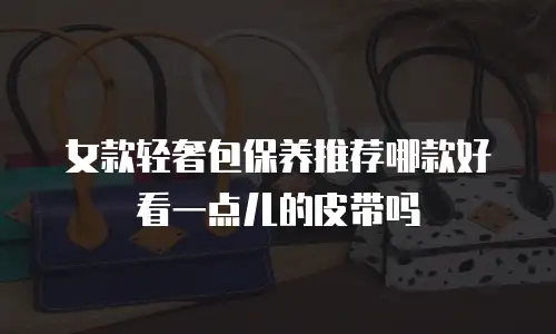 女款轻奢包保养推荐哪款好看一点儿的皮带吗
