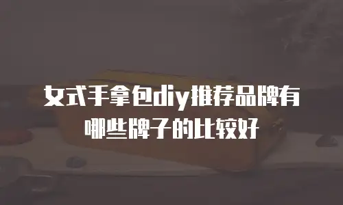 女式手拿包diy推荐品牌有哪些牌子的比较好