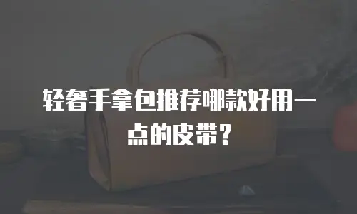 轻奢手拿包推荐哪款好用一点的皮带？