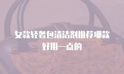女款轻奢包清洁剂推荐哪款好用一点的