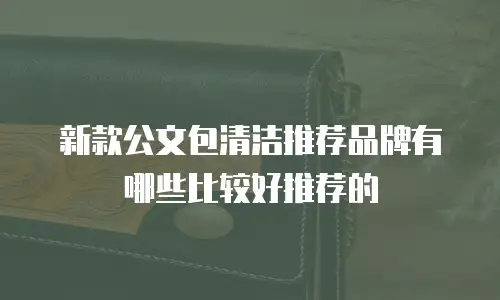 新款公文包清洁推荐品牌有哪些比较好推荐的