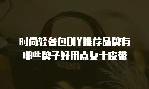 时尚轻奢包DIY推荐品牌有哪些牌子好用点女士皮带