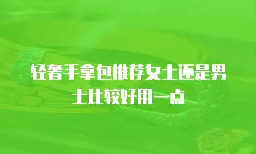 轻奢手拿包推荐女士还是男士比较好用一点