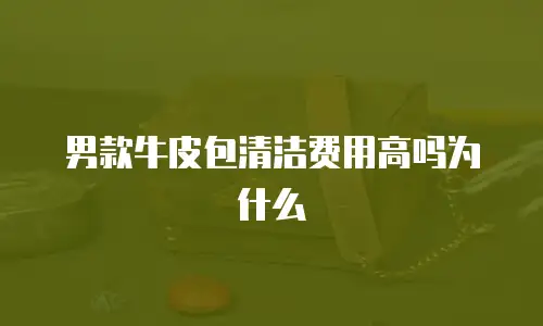 男款牛皮包清洁费用高吗为什么