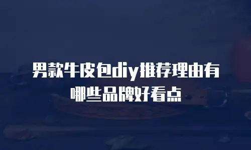 男款牛皮包diy推荐理由有哪些品牌好看点