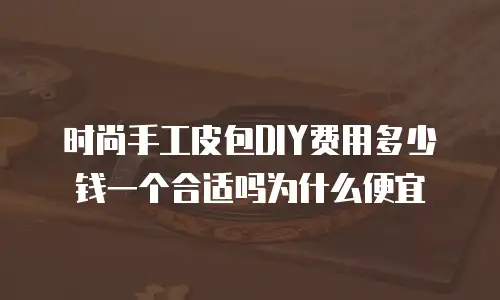 时尚手工皮包DIY费用多少钱一个合适吗为什么便宜