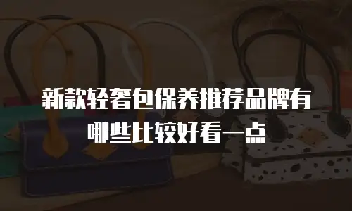 新款轻奢包保养推荐品牌有哪些比较好看一点