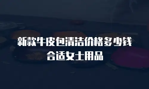新款牛皮包清洁价格多少钱合适女士用品