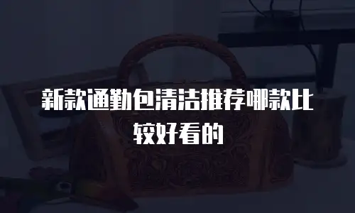 新款通勤包清洁推荐哪款比较好看的