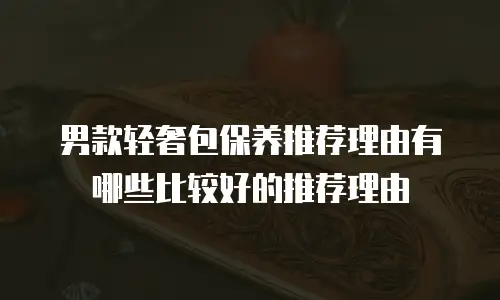 男款轻奢包保养推荐理由有哪些比较好的推荐理由