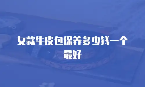 女款牛皮包保养多少钱一个最好