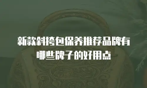 新款斜挎包保养推荐品牌有哪些牌子的好用点