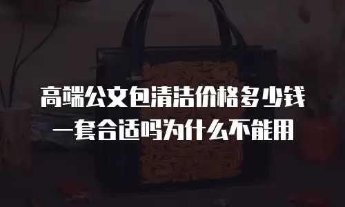 高端公文包清洁价格多少钱一套合适吗为什么不能用