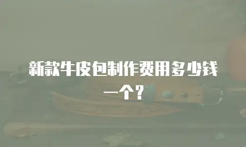 新款牛皮包制作费用多少钱一个？