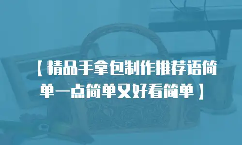 【精品手拿包制作推荐语简单一点简单又好看简单】