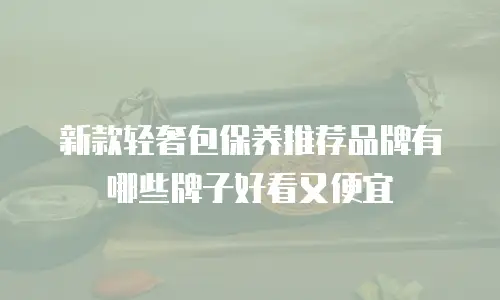 新款轻奢包保养推荐品牌有哪些牌子好看又便宜