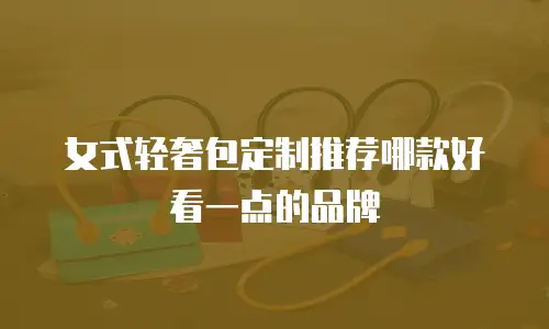 女式轻奢包定制推荐哪款好看一点的品牌