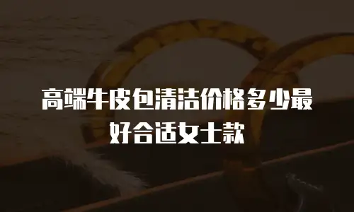 高端牛皮包清洁价格多少最好合适女士款