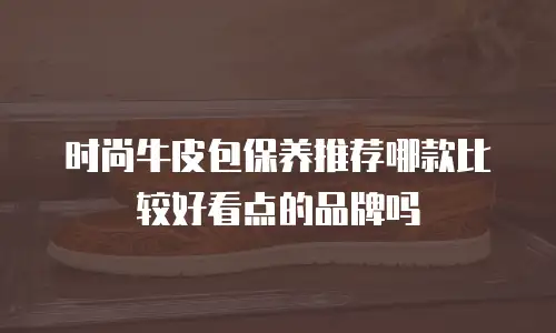 时尚牛皮包保养推荐哪款比较好看点的品牌吗
