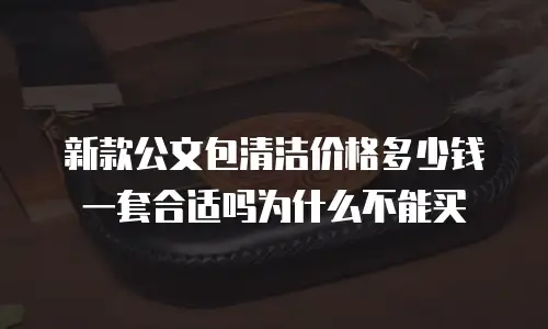 新款公文包清洁价格多少钱一套合适吗为什么不能买