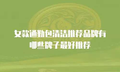 女款通勤包清洁推荐品牌有哪些牌子最好推荐