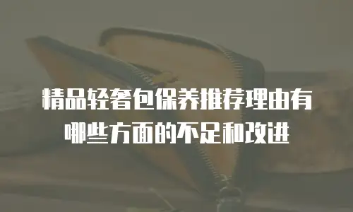 精品轻奢包保养推荐理由有哪些方面的不足和改进