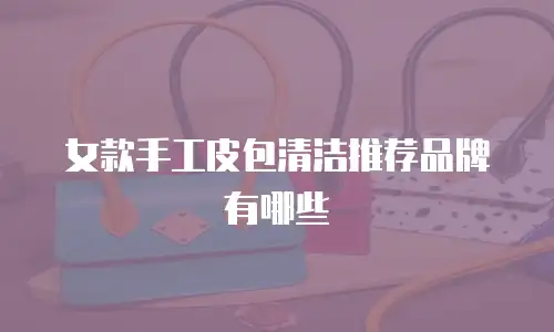 女款手工皮包清洁推荐品牌有哪些
