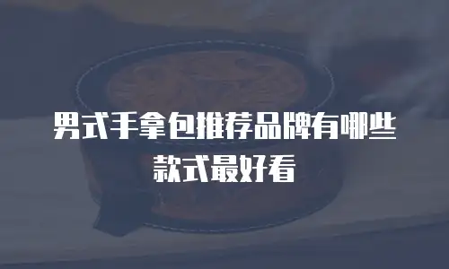 男式手拿包推荐品牌有哪些款式最好看