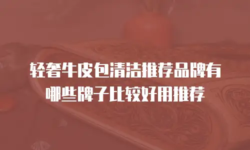 轻奢牛皮包清洁推荐品牌有哪些牌子比较好用推荐