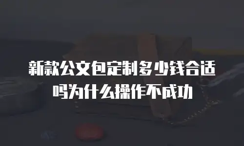 新款公文包定制多少钱合适吗为什么操作不成功