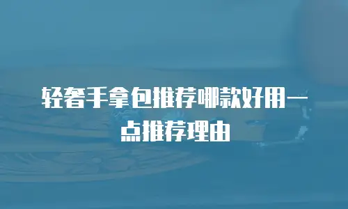 轻奢手拿包推荐哪款好用一点推荐理由
