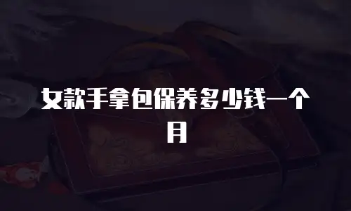 女款手拿包保养多少钱一个月