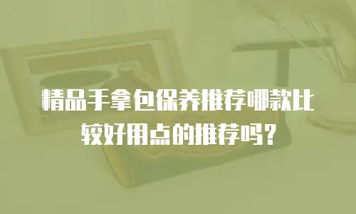 精品手拿包保养推荐哪款比较好用点的推荐吗？