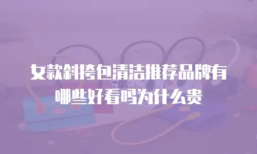 女款斜挎包清洁推荐品牌有哪些好看吗为什么贵