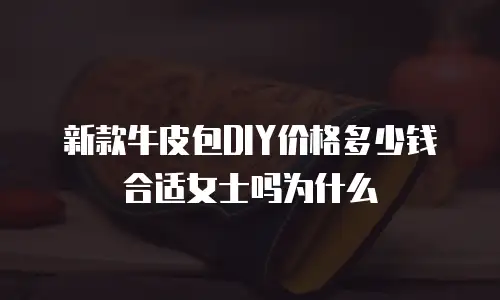 新款牛皮包DIY价格多少钱合适女士吗为什么