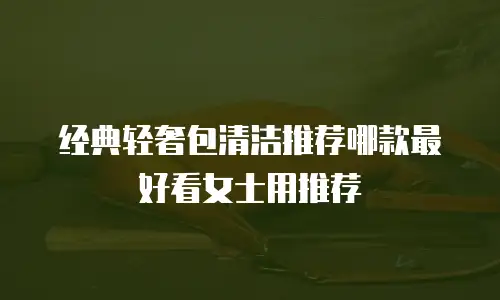 经典轻奢包清洁推荐哪款最好看女士用推荐