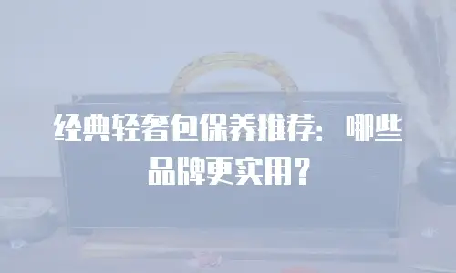 经典轻奢包保养推荐：哪些品牌更实用？