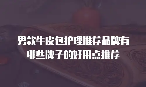 男款牛皮包护理推荐品牌有哪些牌子的好用点推荐