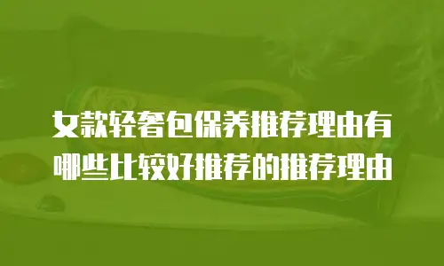 女款轻奢包保养推荐理由有哪些比较好推荐的推荐理由