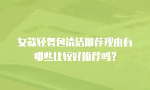 女款轻奢包清洁推荐理由有哪些比较好推荐吗？