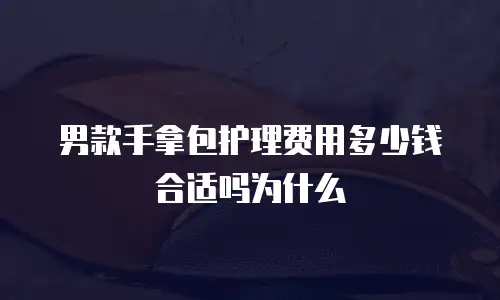 男款手拿包护理费用多少钱合适吗为什么