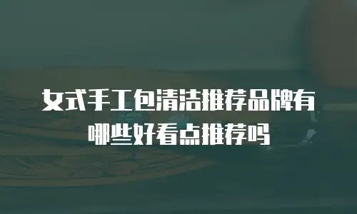 女式手工包清洁推荐品牌有哪些好看点推荐吗