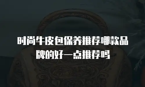 时尚牛皮包保养推荐哪款品牌的好一点推荐吗