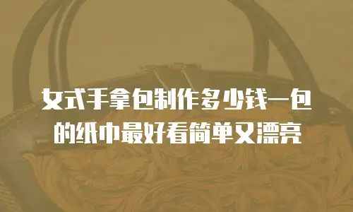 女式手拿包制作多少钱一包的纸巾最好看简单又漂亮