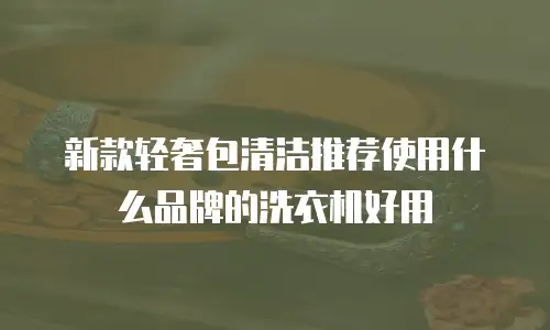 新款轻奢包清洁推荐使用什么品牌的洗衣机好用