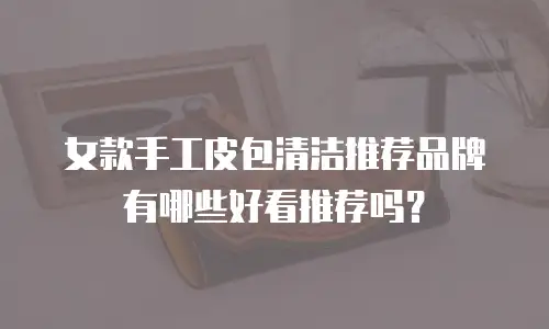 女款手工皮包清洁推荐品牌有哪些好看推荐吗？